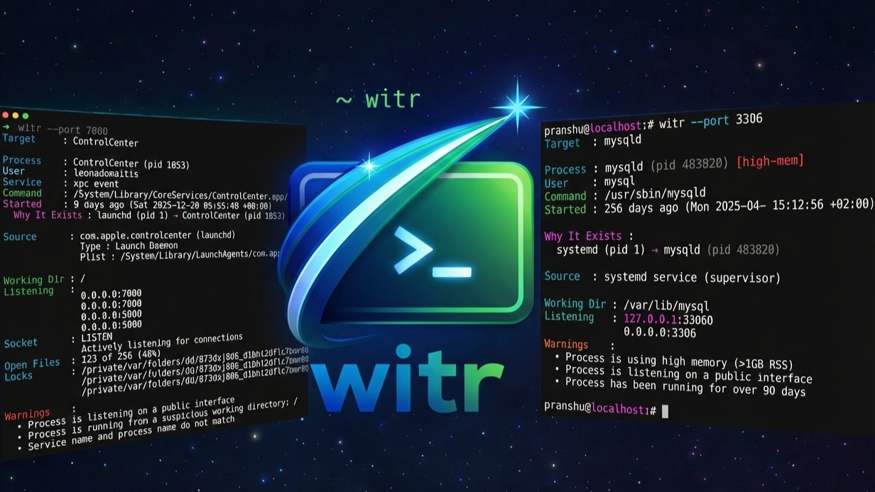 witr 官方 README 展示图